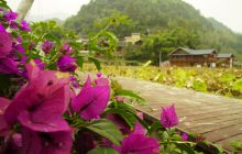 我是安露，我在思南黑鹅溪见证故事的延续