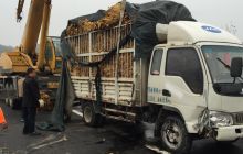 货车杭瑞高速上侧翻