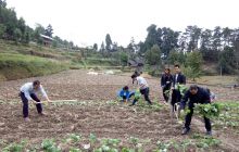 【网络媒体走转改】印江县科技助力秋种忙 搭建脱贫致富桥梁