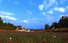 我是郑璇，我在玉屏桐木体会生活的浪漫