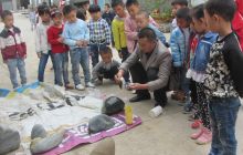 德江县实验幼儿园140名幼儿参观乌江奇石文化城