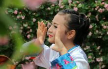 七彩的花季