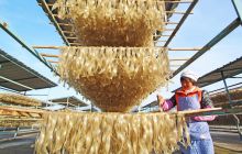 【网络媒体走转改】印江：农特产品搭上“电商快车”