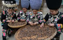 【图说五年】农村农业篇