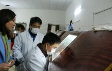 【网络媒体走转改】德江天麻菌种场建成投产