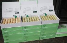 【网络媒体走转改】松桃苗王湖高科野鸭蛋俏销