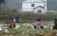 德江县着力打好生态牌