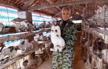 【网络媒体走转改】松桃长青兔业带富一方百姓