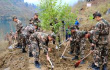 沿河党政军上山植树2万余株