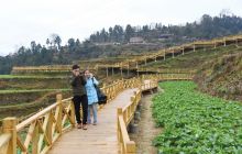 矮红村投资400余万元打造山地特色高效产业示范园