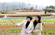 沿河生态农业观光园春节旅游火热