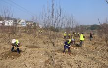 德江陶缘农旅综合体项目快速推进