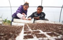 印江:人勤春来早 菜农育苗忙