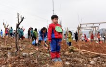 铜仁市1000余人开展“共青林”植树活动