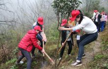 德江400余名志愿者参与义务植树活动