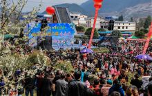 沿河第八届李花节在沿河自治县沙子镇南庄村开幕