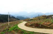 桶井乡的脱贫路