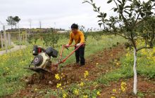 德江县桶井乡做大做强农旅一体“大蛋糕”