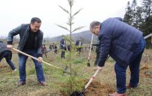 德江县120名政协委员参与“六绿”攻坚行动暨植树活动