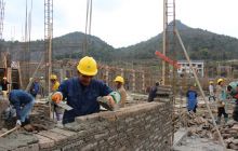 德江煎茶花卉苗木产业基地建设有序推进