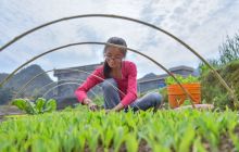 松桃:清明时节忙春耕