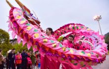 松桃:非遗“寨英滚龙”