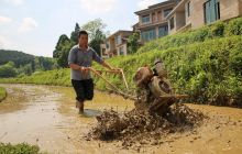 雨后忙耕田