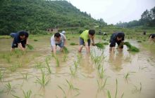 纪检干部“大比武” 党员助耕“护民生”