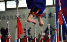 苗族绝技走进贵州文化艺术节