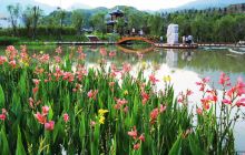 印江:巧做生态让百姓“出门见景”