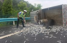 高速公路变“鱼塘”高速德江大队紧急救援