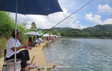 印江自治县举办湄坨“国茶文化节” 垂钓比赛