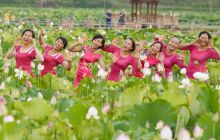 夏日松桃荷花基地醉游客