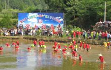 松桃苗乡浑水摸鱼活动精彩纷呈