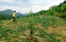 德江县桶井乡多举措抗旱减灾保民生