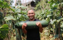 返乡青年种“致富瓜”助脱贫