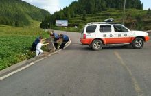 松桃路政合力扶正580县道上的黔渝地理界碑