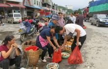 松桃盘信镇村民销售枞树菌忙