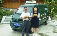 松桃马安珍珠花生成功入选中国邮政电商节