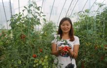 合兴镇鸟坪产业园