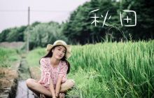 稻香