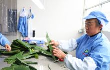 德江野生粽叶变美金