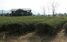 松桃:普觉农业示范园区建设如火如荼