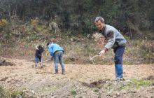 松桃孟溪镇打造经果林产业助脱贫 