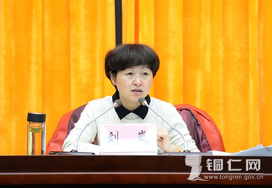 副市长刘岚出席会议并讲话