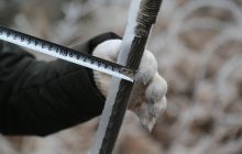 凝冻来袭松桃供电局巡维线路全力保民生用电