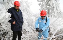 青春芳华闪耀在巡线维护抗冰保电的路上