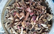 松桃县寨英镇举办脱贫攻坚成果年货展销活动