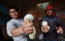 【松桃年味】糍粑