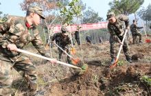 碧江消防组织官兵参加义务植树活动